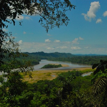 Napo River Amazon Ecuador