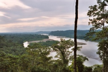 Napo River Yachana Ecuador