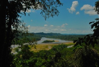 Napo River Amazon Ecuador